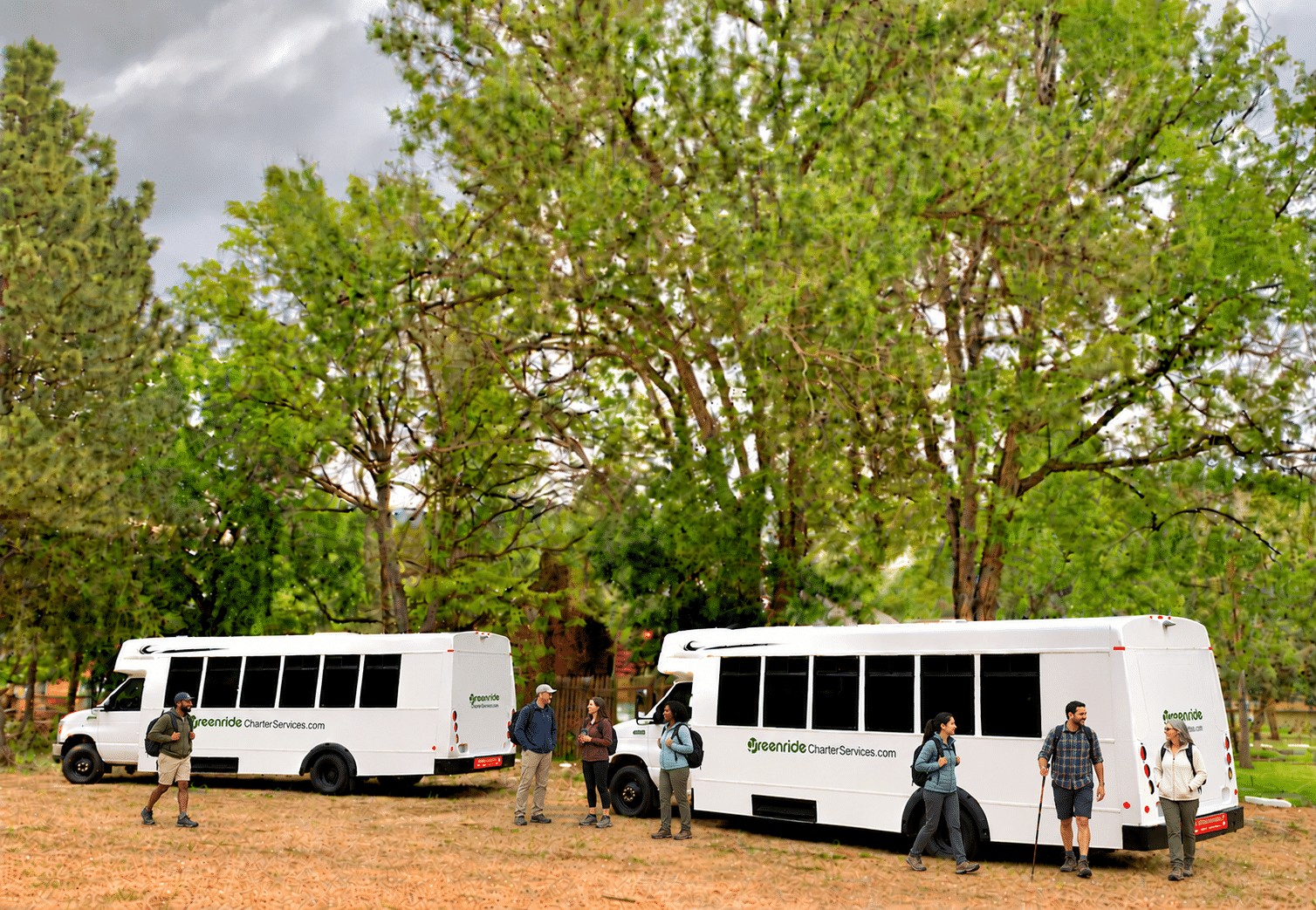 Guests beside two white Green Ride minibuses parked under large trees
